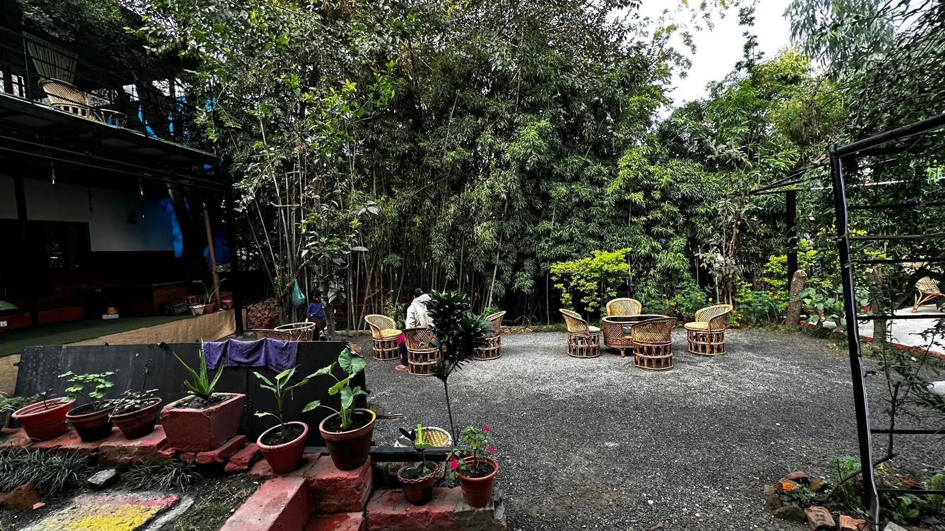 Institute Of Natural Medicine , Yoga & Therapy Home Kathmandu Nepal