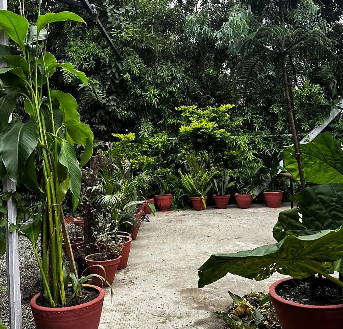 Institute Of Natural Medicine , Yoga & Therapy Home Kathmandu