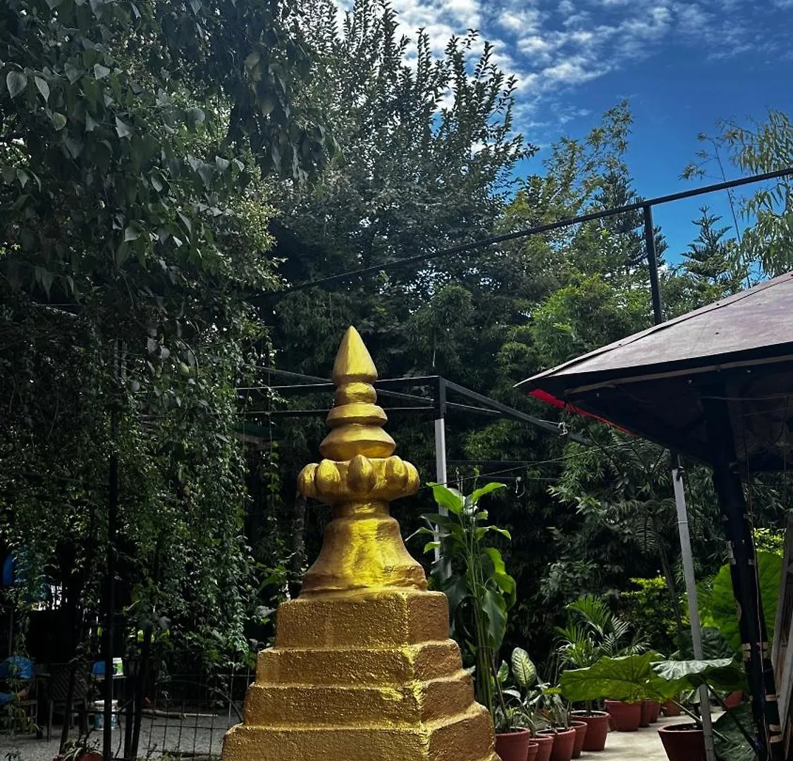 Bed & Breakfast Institute Of Natural Medicine , Yoga & Therapy Home Kathmandu