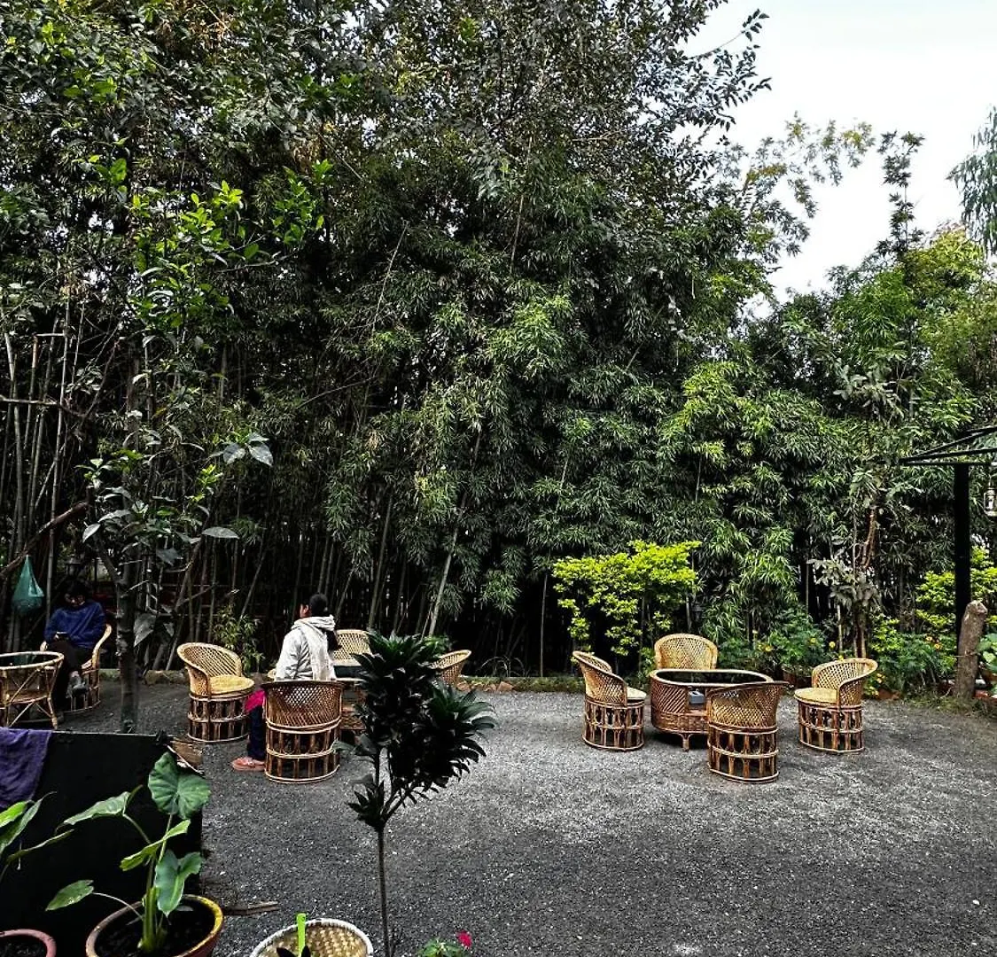Institute Of Natural Medicine , Yoga & Therapy Home Kathmandu 0*,