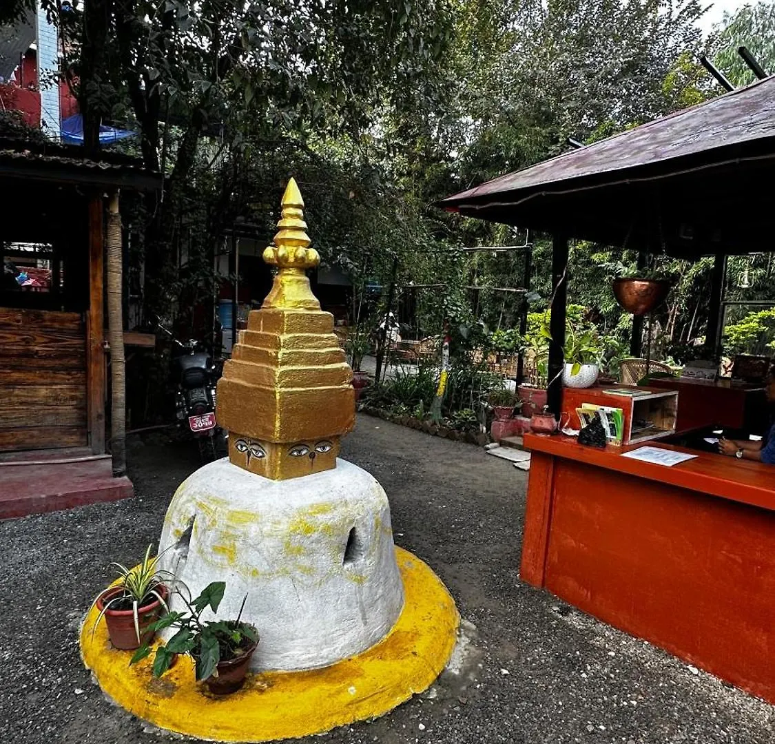 Institute Of Natural Medicine , Yoga & Therapy Home Kathmandu Bed & Breakfast