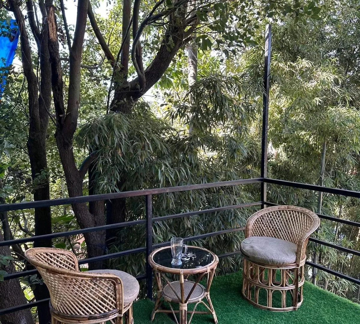 Institute Of Natural Medicine , Yoga & Therapy Home Kathmandu 0*,