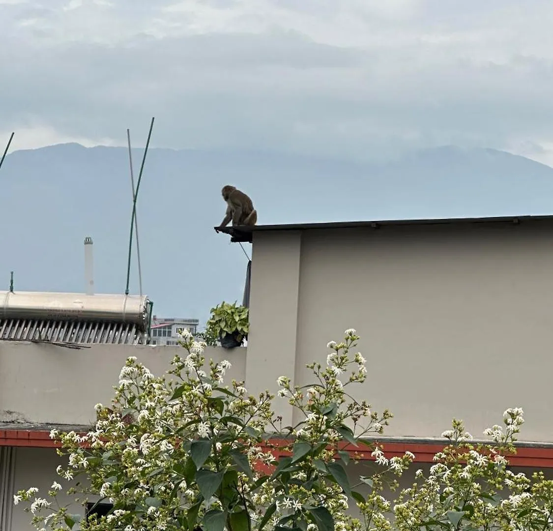 Institute Of Natural Medicine , Yoga & Therapy Home Kathmandu Bed & Breakfast