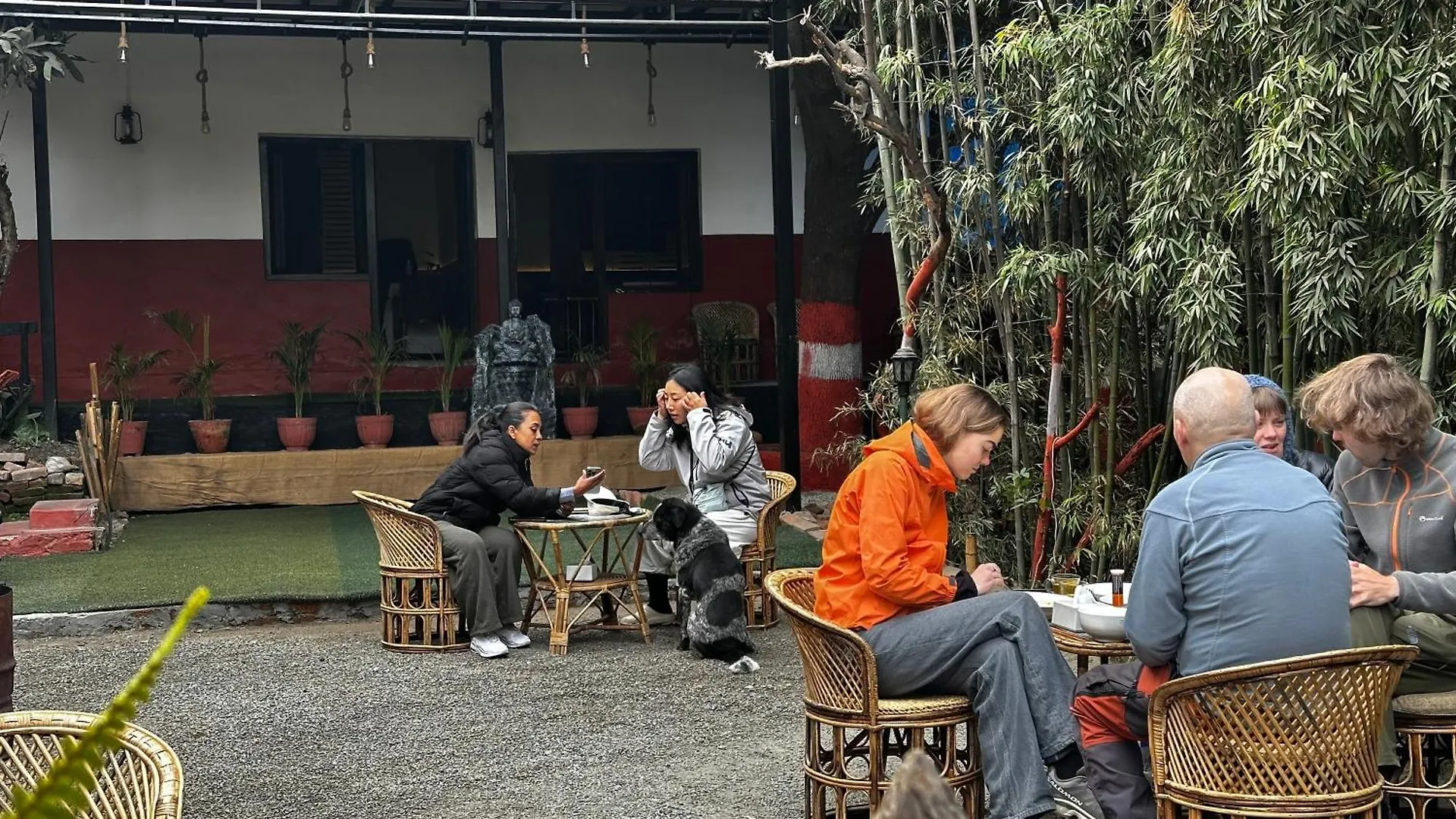 Institute Of Natural Medicine , Yoga & Therapy Home Kathmandu
