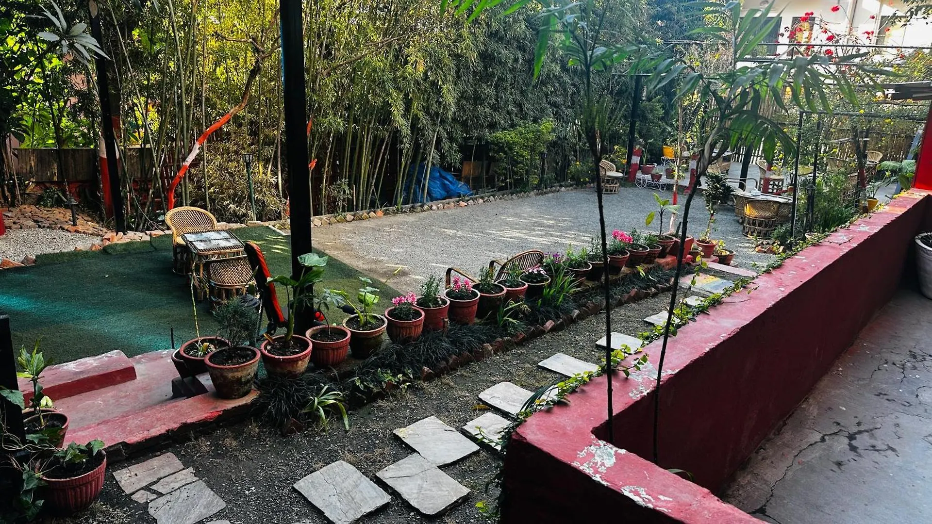 Institute Of Natural Medicine , Yoga & Therapy Home Kathmandu