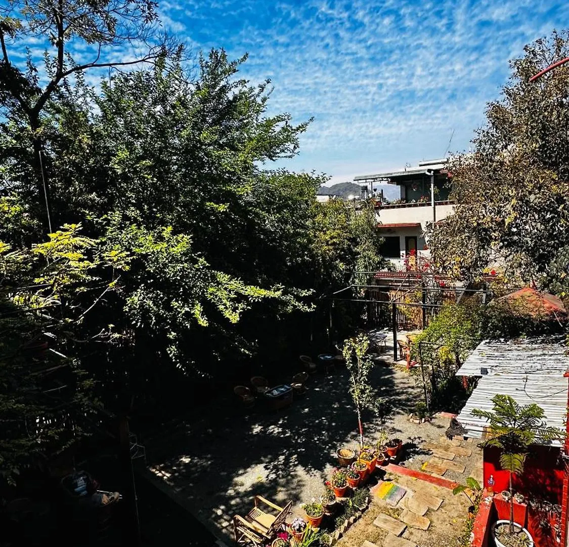 Institute Of Natural Medicine , Yoga & Therapy Home Kathmandu