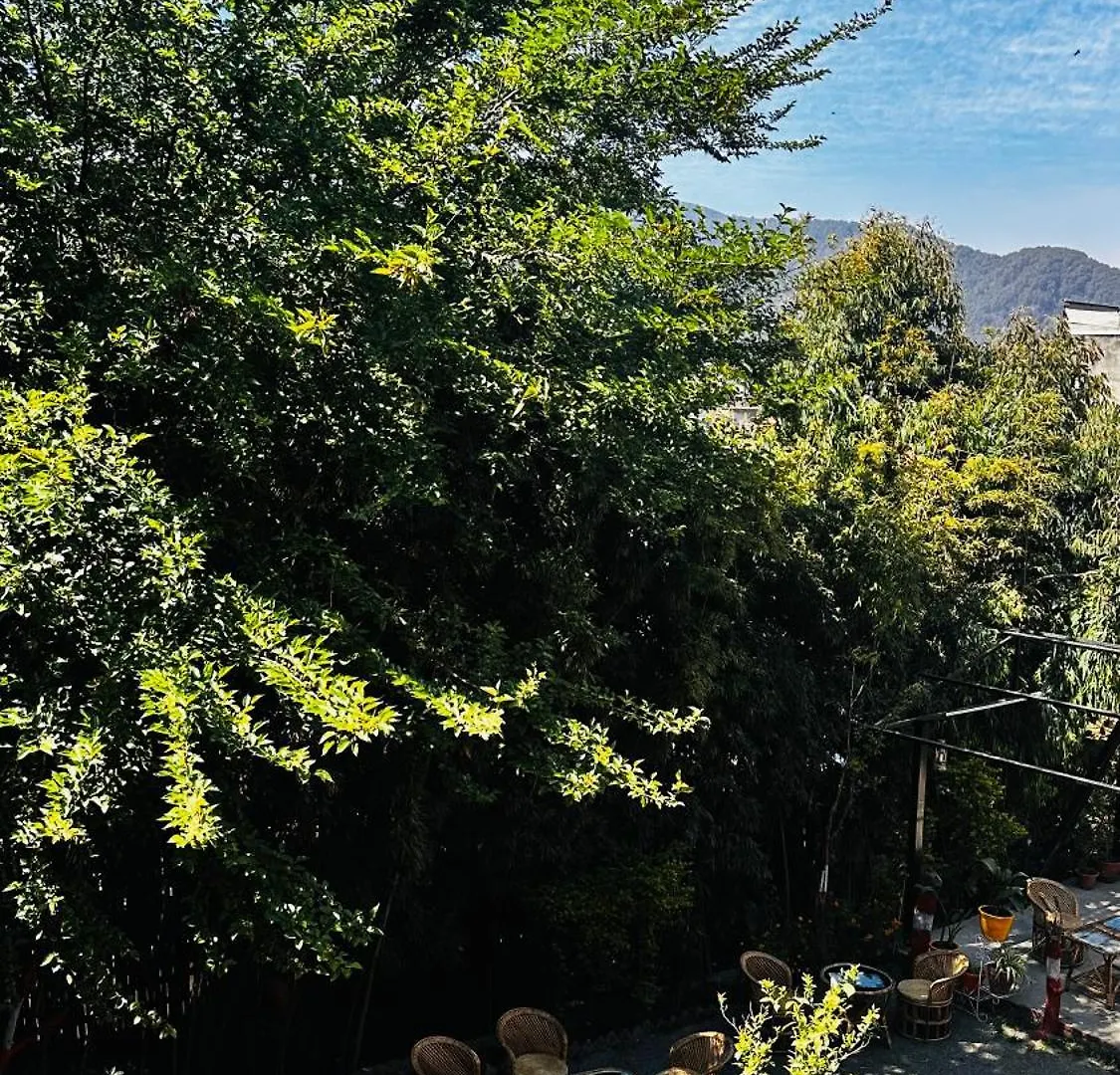 Bed & Breakfast Institute Of Natural Medicine , Yoga & Therapy Home Kathmandu