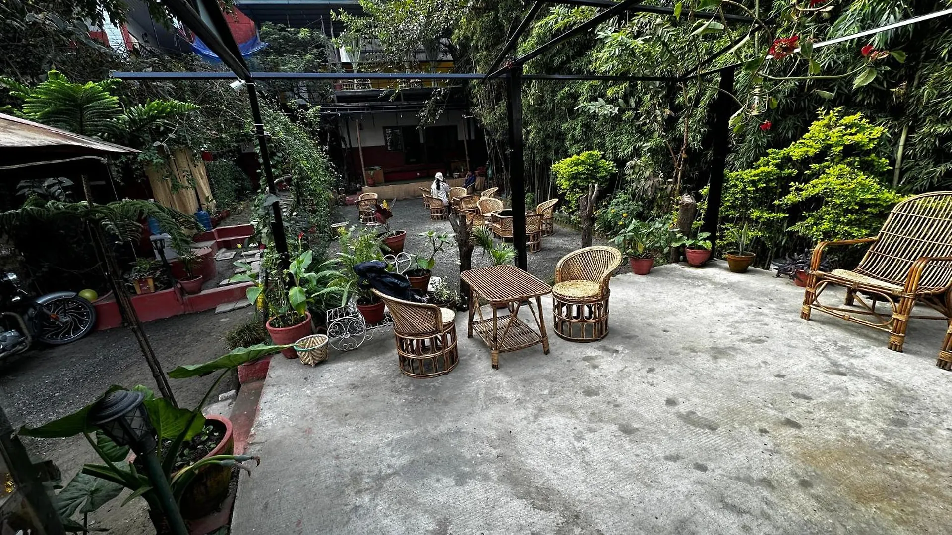 Bed & Breakfast Institute Of Natural Medicine , Yoga & Therapy Home Kathmandu