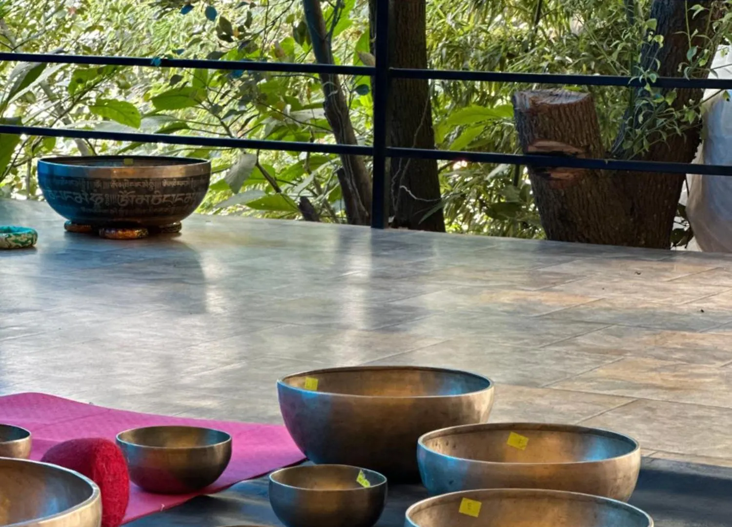 Institute Of Natural Medicine , Yoga & Therapy Home Kathmandu
