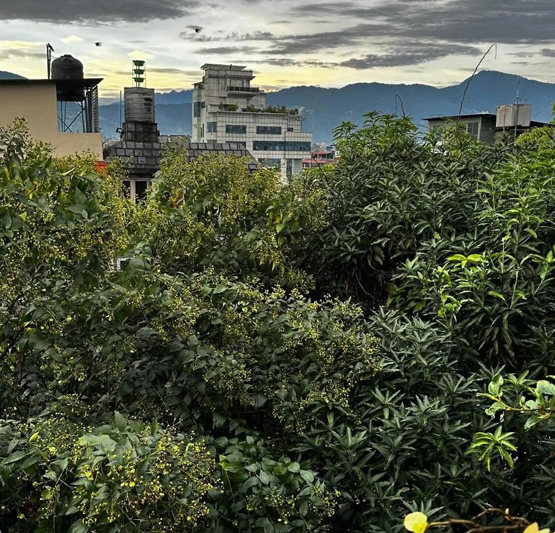 Institute Of Natural Medicine , Yoga & Therapy Home Kathmandu