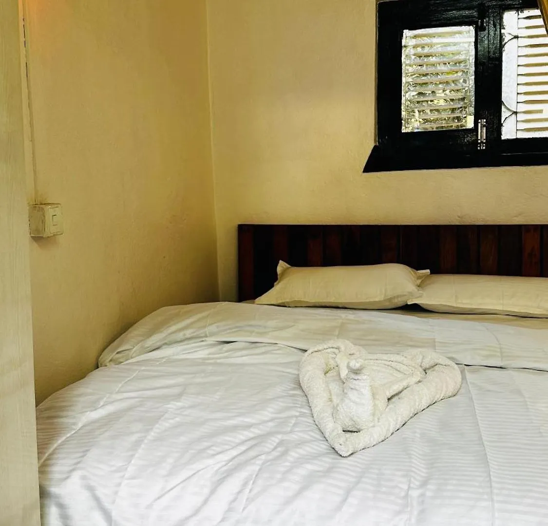 Institute Of Natural Medicine , Yoga & Therapy Home Kathmandu Nepal