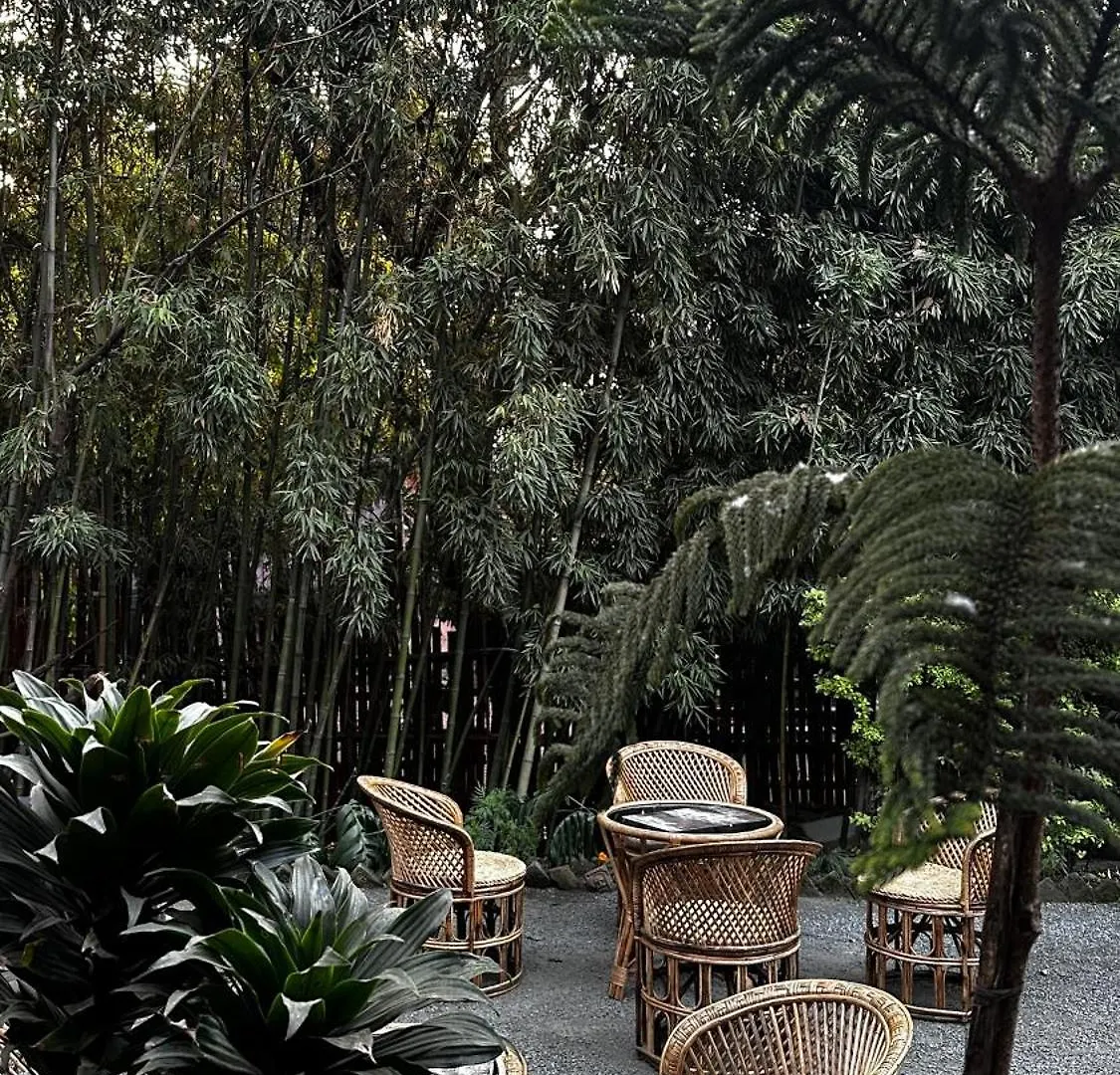 Bed & Breakfast Institute Of Natural Medicine , Yoga & Therapy Home Kathmandu Nepal